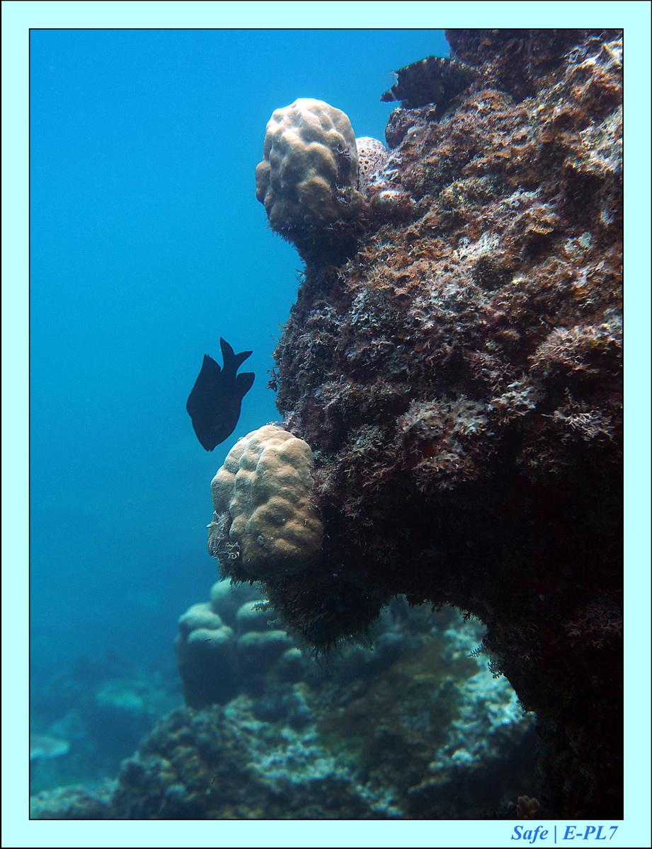 2016 - 07 - Leng Tengah - 028